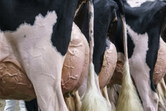 DSC06057-2 DSC06057-2