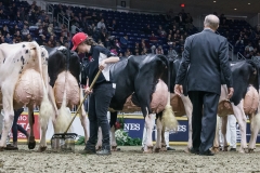 DSC06059-2 DSC06059-2