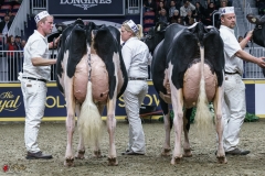 DSC06061-2 DSC06061-2