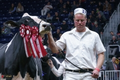 DSC06065-2 DSC06065-2