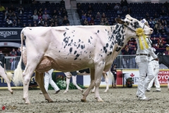 DSC06094-2 DSC06094-2