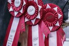 DSC06098-2 DSC06098-2