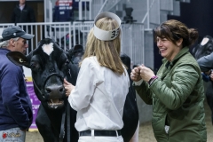 DSC07265-2 DSC07265-2