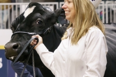 DSC07266-2 DSC07266-2