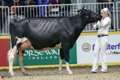 DSC05418-2 DSC05418-2