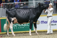 DSC05420-2 DSC05420-2