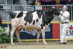 DSC05421-2 DSC05421-2