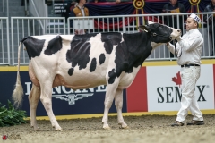 DSC05426-2 DSC05426-2