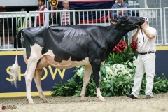 DSC05435-2 DSC05435-2