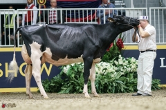 DSC05438-2 DSC05438-2