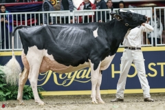 DSC05441-2 DSC05441-2