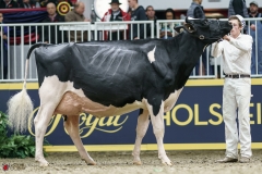 DSC05444-2 DSC05444-2