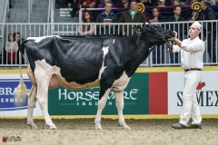 DSC05454-2 DSC05454-2