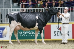 DSC05456-2 DSC05456-2