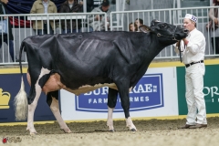 DSC05461-2 DSC05461-2