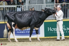 DSC05463-2 DSC05463-2