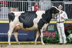 DSC05485-2 DSC05485-2