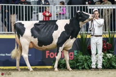 DSC05487-2 DSC05487-2