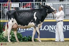 DSC05488-2 DSC05488-2