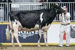 DSC05498-2 DSC05498-2