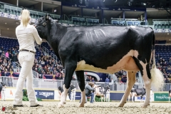 DSC05504-2 DSC05504-2