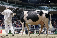 DSC05511-2 DSC05511-2