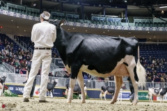 DSC05516-2 DSC05516-2