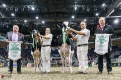 DSC05533-2 DSC05533-2