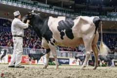 DSC05552-2 DSC05552-2