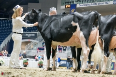 DSC05561-2 DSC05561-2