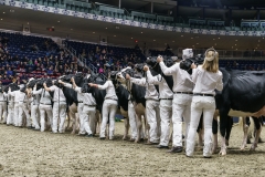 DSC05573-2 DSC05573-2