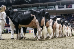 DSC05591-2 DSC05591-2