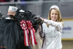 DSC05628-2 DSC05628-2