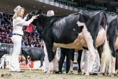 DSC05638-2 DSC05638-2