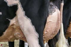 DSC05640-2 DSC05640-2