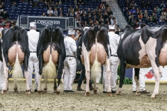 DSC05642-2 DSC05642-2