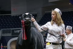 DSC05658-2 DSC05658-2